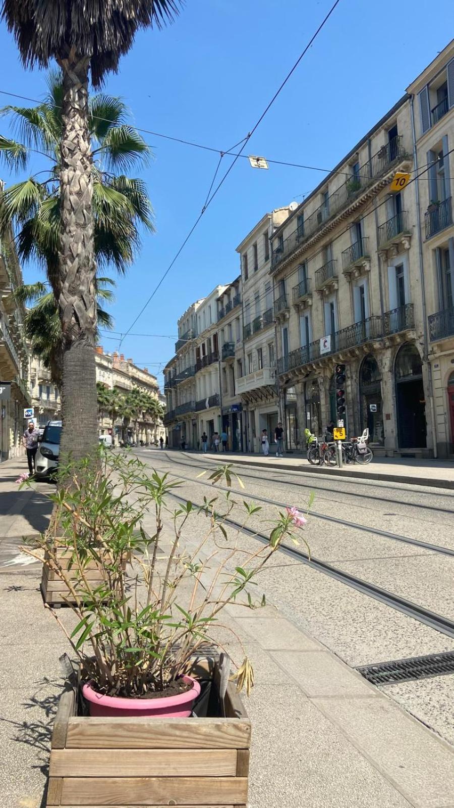 Appartement Renaissance à Montpellier Extérieur photo