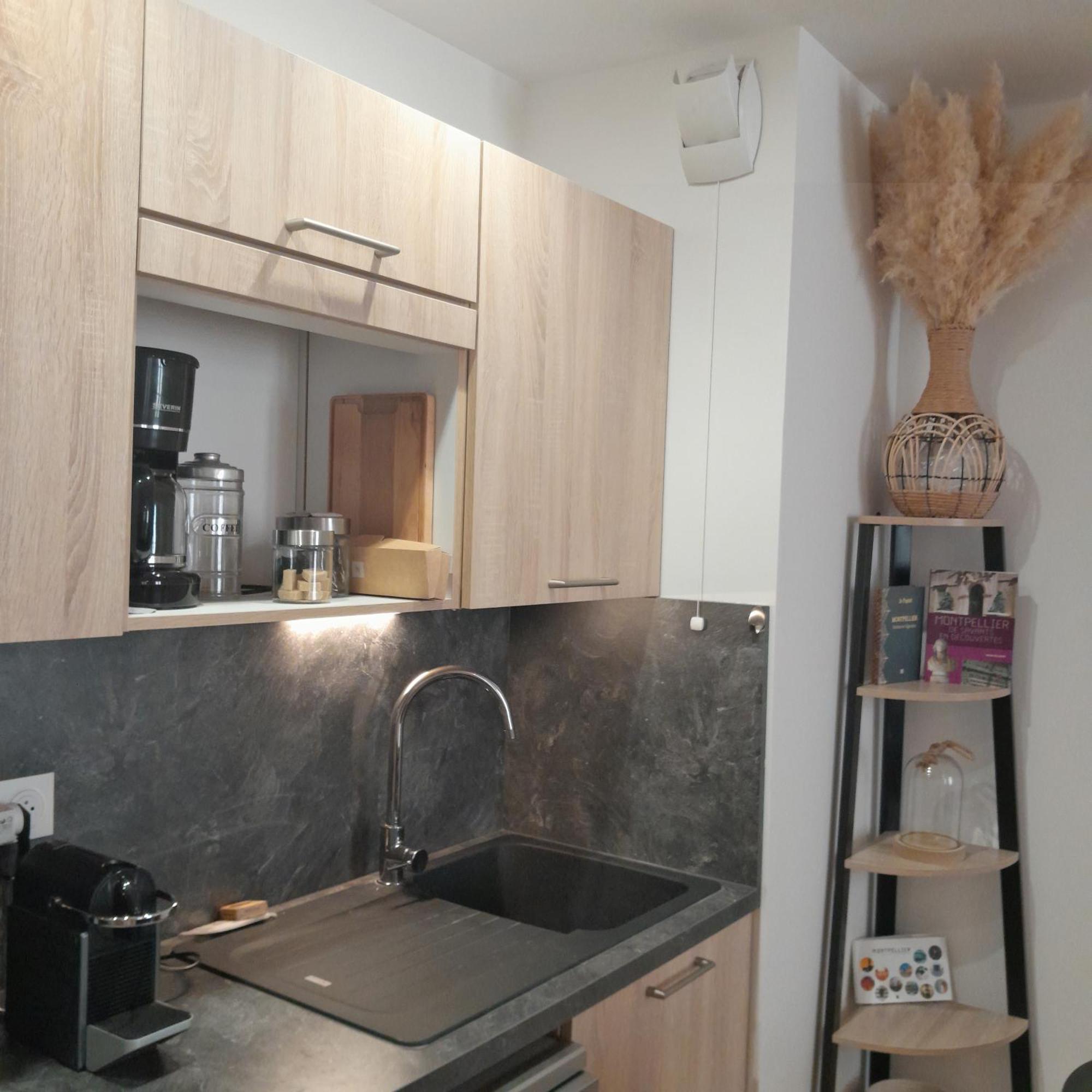 Appartement Renaissance à Montpellier Extérieur photo